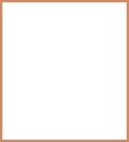 Plain brown blank background, serving as a neutral canvas for expat housing services in the Netherlands